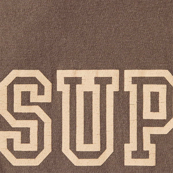 SUPREME 24FW Collegiate Sleeve Hooded Sweatshirts